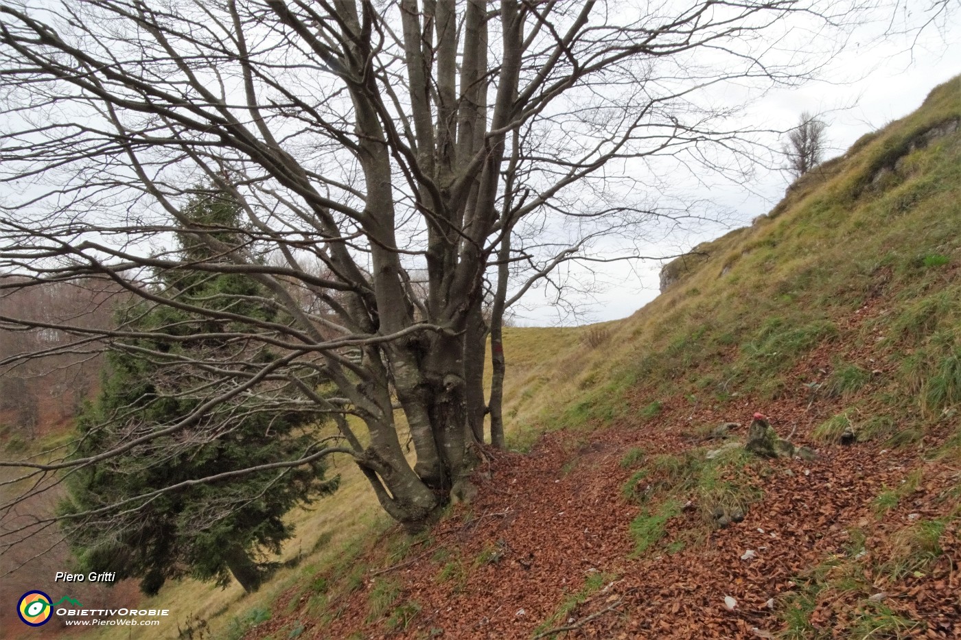 90 Dalla Sella del Sornadello (1530 m) percorro in ispezione un tratto verso il Pizzo Grande.JPG